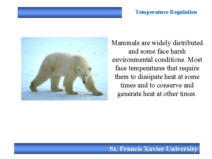 Temperature Regulation Mammals are widely distributed and some face harsh environmental conditions. Most face