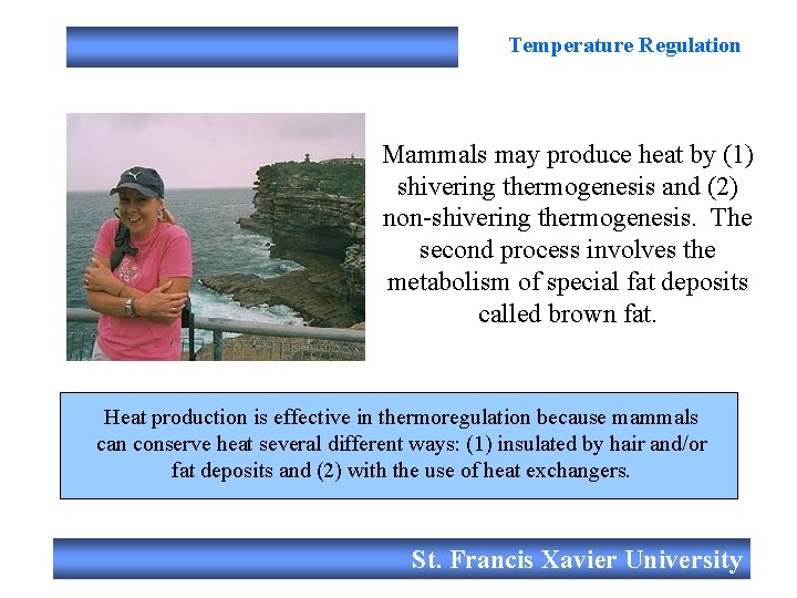 Temperature Regulation Mammals may produce heat by (1) shivering thermogenesis and (2) non-shivering thermogenesis.