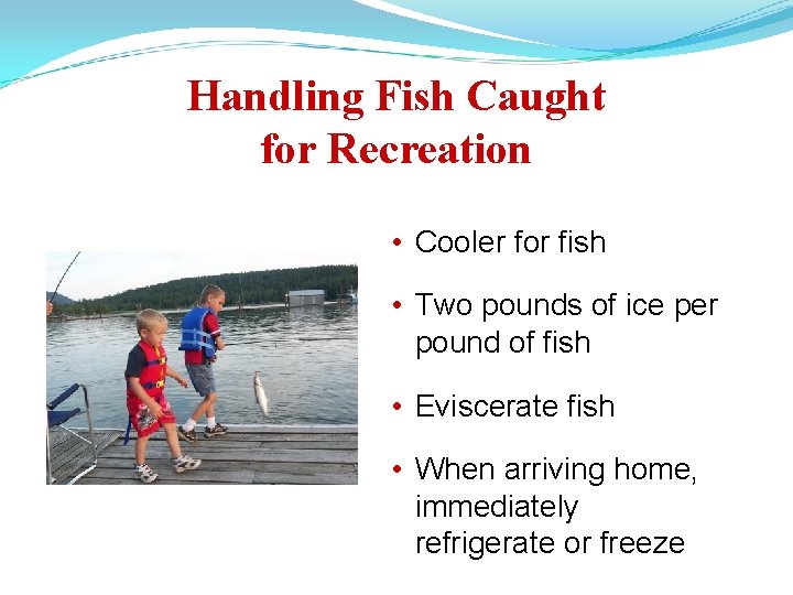 Handling Fish Caught for Recreation • Cooler for fish • Two pounds of ice