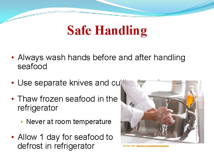 Safe Handling • Always wash hands before and after handling seafood • Use separate