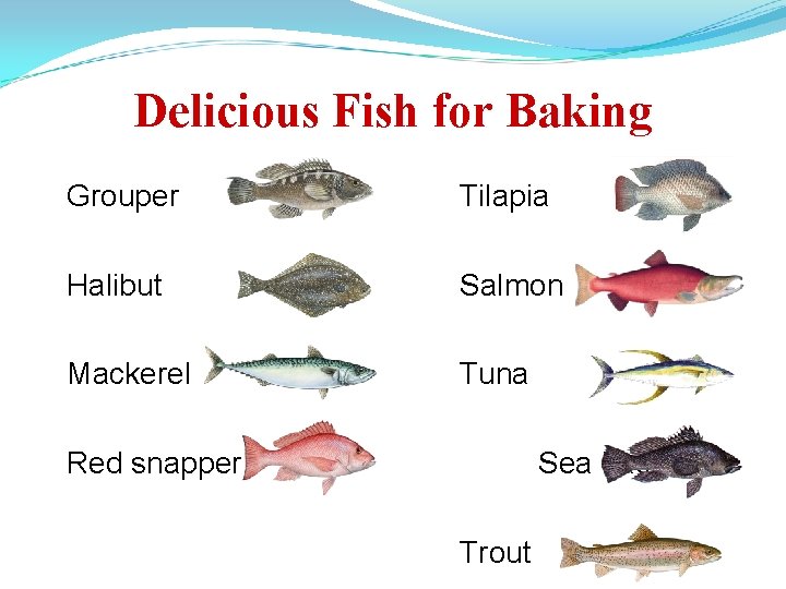 Delicious Fish for Baking Grouper Tilapia Halibut Salmon Mackerel Tuna Red snapper Sea bass