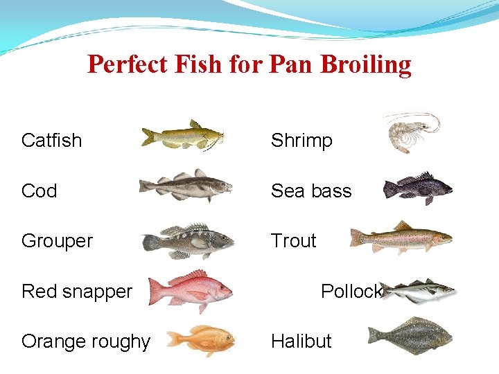 Perfect Fish for Pan Broiling Catfish Shrimp Cod Sea bass Grouper Trout Red snapper