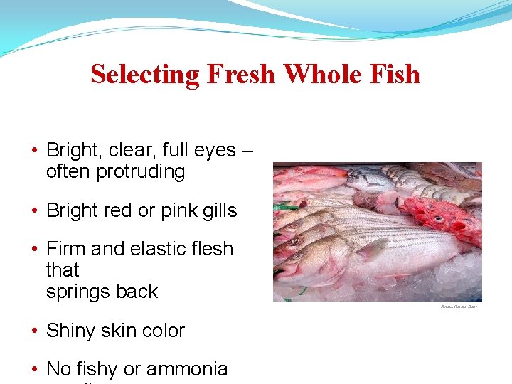 Selecting Fresh Whole Fish • Bright, clear, full eyes – often protruding • Bright