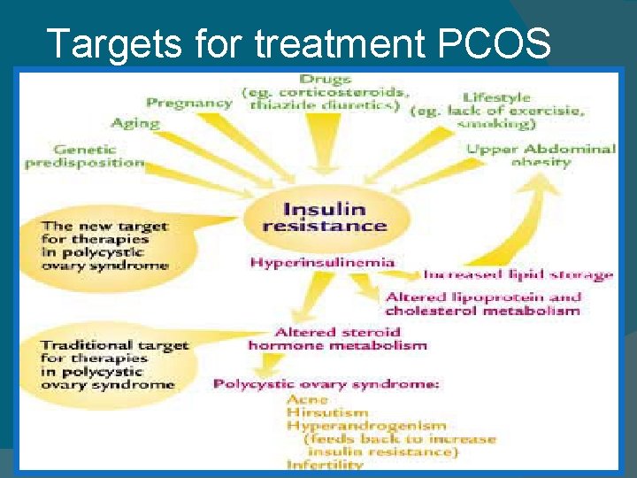 Targets for treatment PCOS 