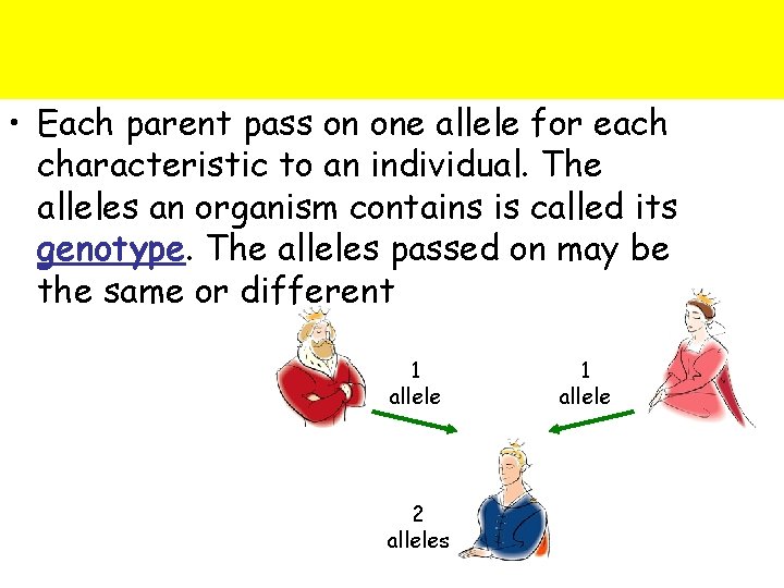  • Each parent pass on one allele for each characteristic to an individual.