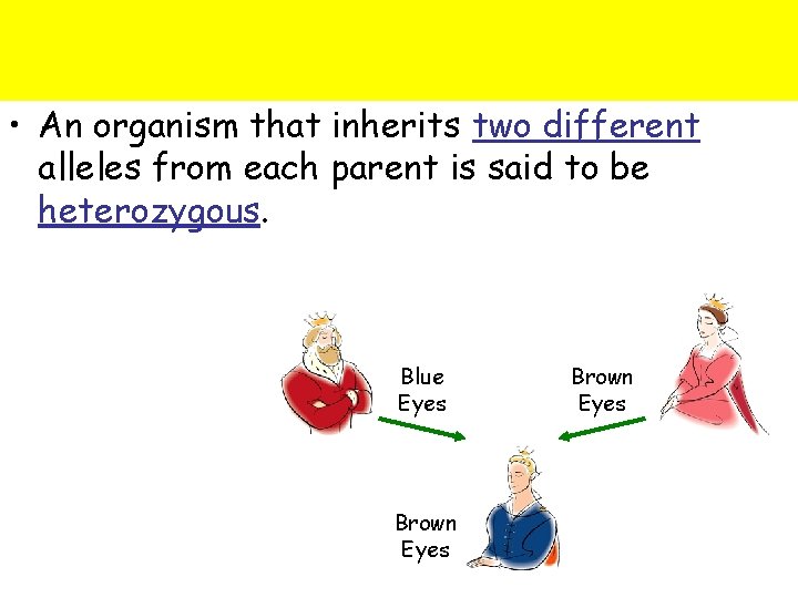  • An organism that inherits two different alleles from each parent is said