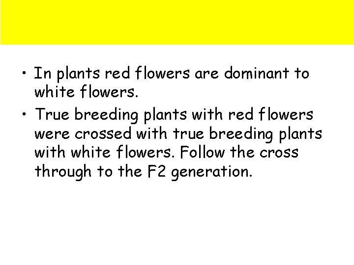  • In plants red flowers are dominant to white flowers. • True breeding