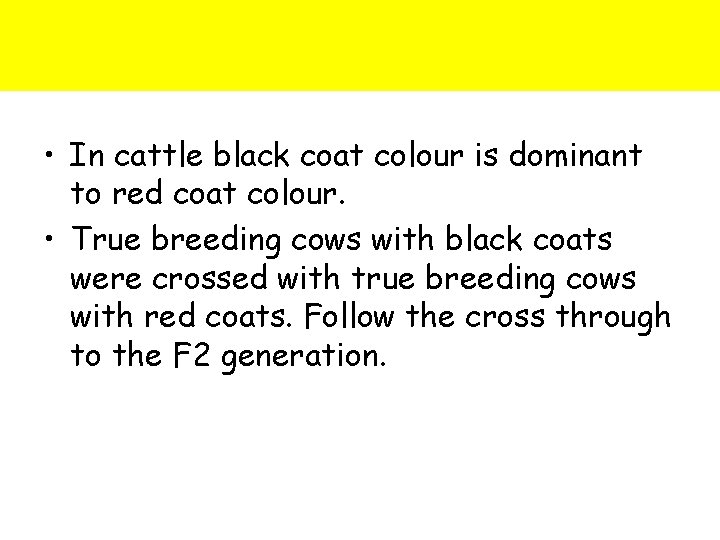  • In cattle black coat colour is dominant to red coat colour. •
