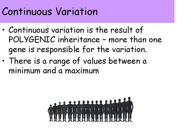 Continuous Variation • Continuous variation is the result of POLYGENIC inheritance – more than