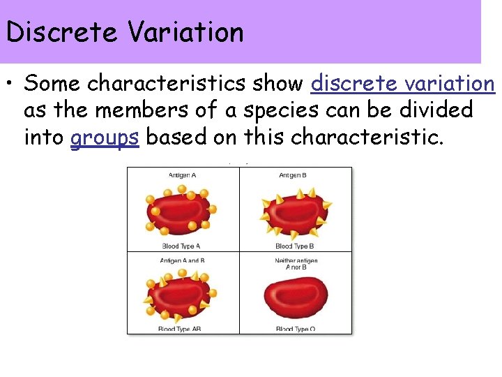 Discrete Variation • Some characteristics show discrete variation as the members of a species