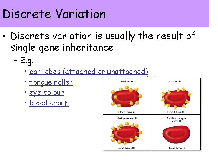 Discrete Variation • Discrete variation is usually the result of single gene inheritance –