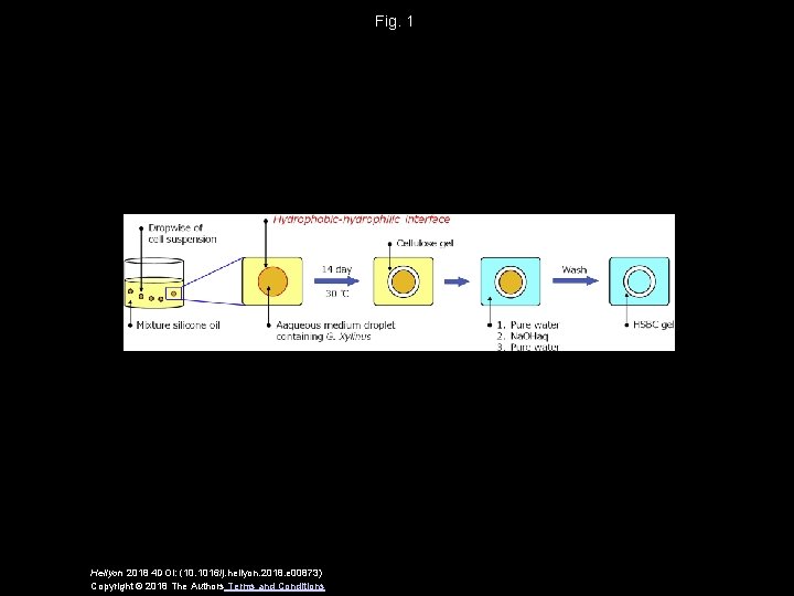 Fig. 1 Heliyon 2018 4 DOI: (10. 1016/j. heliyon. 2018. e 00873) Copyright ©