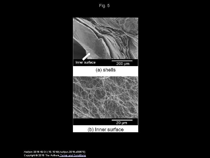 Fig. 5 Heliyon 2018 4 DOI: (10. 1016/j. heliyon. 2018. e 00873) Copyright ©