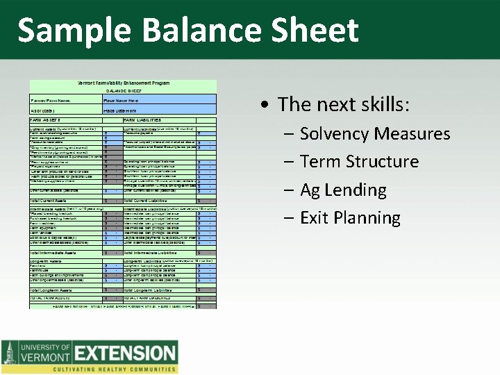 Sample Balance Sheet • The next skills: – Solvency Measures – Term Structure –