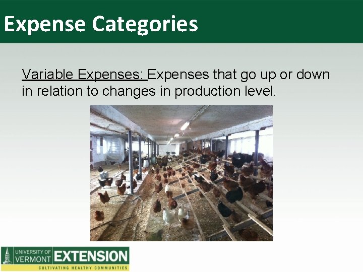 Expense Categories Variable Expenses: Expenses that go up or down in relation to changes