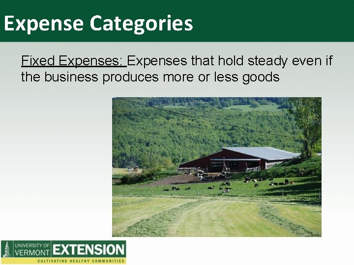 Expense Categories Fixed Expenses: Expenses that hold steady even if the business produces more