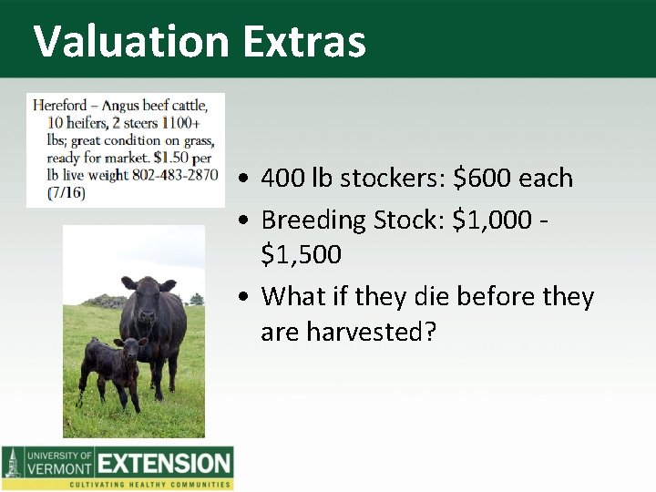 Valuation Extras • 400 lb stockers: $600 each • Breeding Stock: $1, 000 $1,