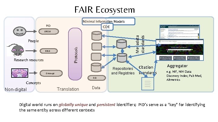 FAIR Ecosystem Minimal Information Models CDE PID Metadata standards ORCID RRID Research resources Protocols