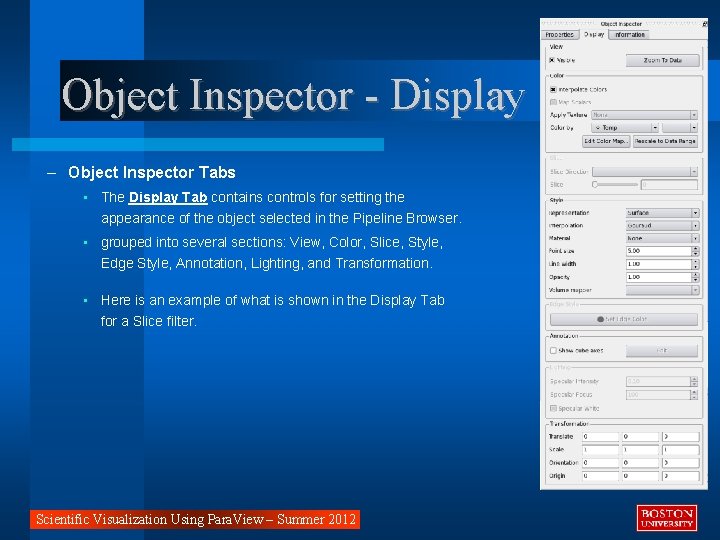 Object Inspector - Display – Object Inspector Tabs • The Display Tab contains controls