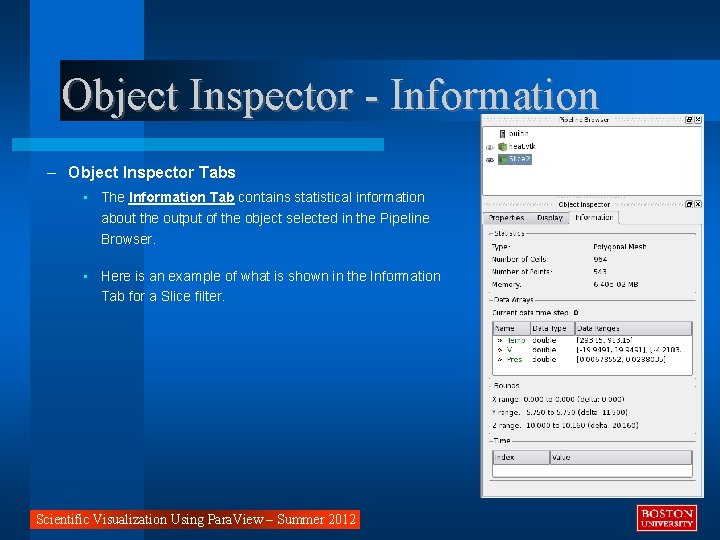 Object Inspector - Information – Object Inspector Tabs • The Information Tab contains statistical