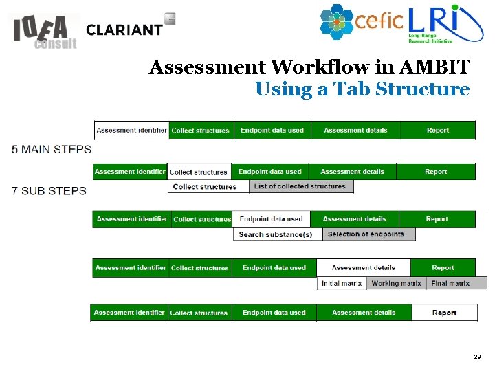 Assessment Workflow in AMBIT Using a Tab Structure 29 