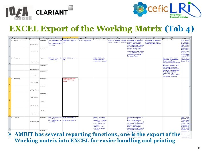 EXCEL Export of the Working Matrix (Tab 4) Ø AMBIT has several reporting functions,