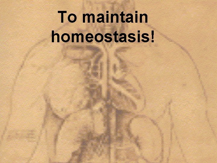 To maintain homeostasis! 
