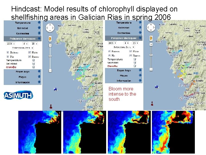 Hindcast: Model results of chlorophyll displayed on shellfishing areas in Galician Rias in spring