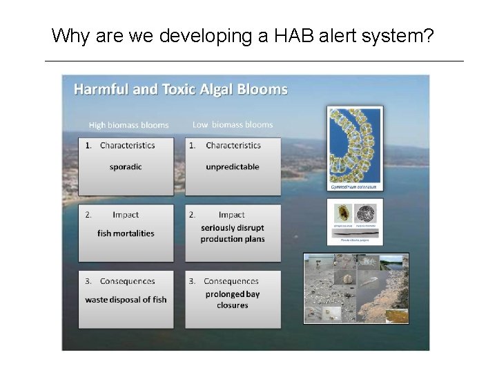 Why are we developing a HAB alert system? 