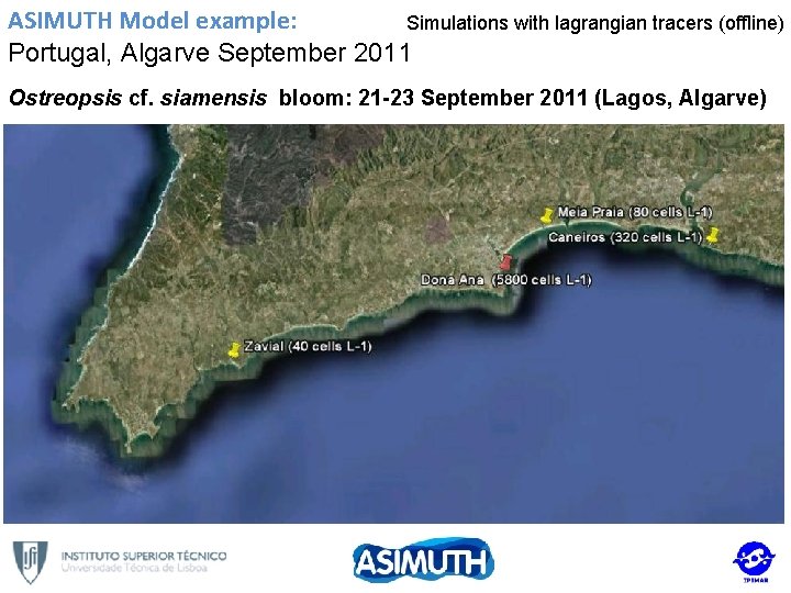 ASIMUTH Model example: Simulations with lagrangian tracers (offline) Portugal, Algarve September 2011 Ostreopsis cf.