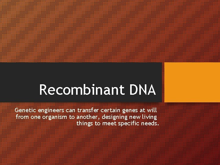 Recombinant DNA Genetic engineers can transfer certain genes at will from one organism to