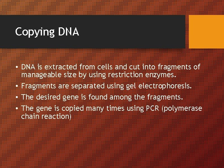 Copying DNA • DNA is extracted from cells and cut into fragments of manageable