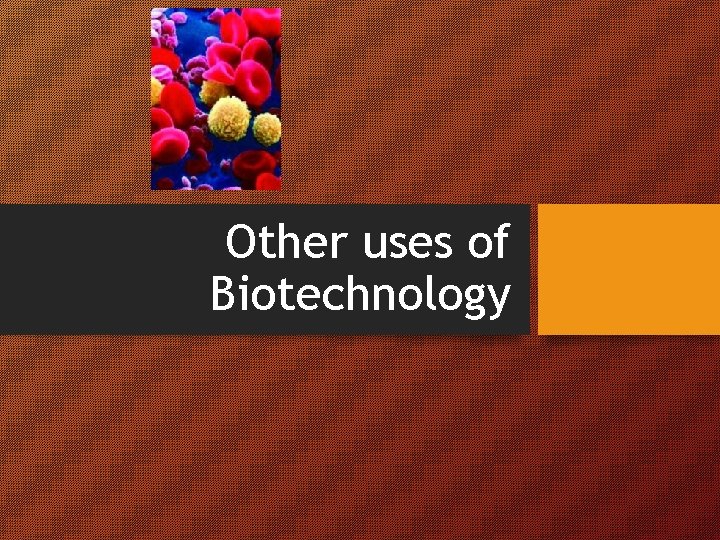 Other uses of Biotechnology 