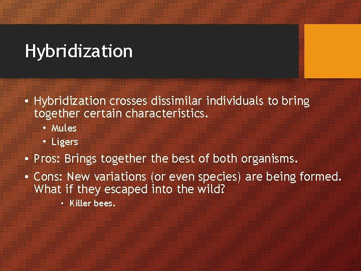 Hybridization • Hybridization crosses dissimilar individuals to bring together certain characteristics. • Mules •