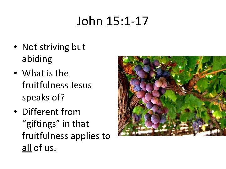 John 15: 1 -17 • Not striving but abiding • What is the fruitfulness