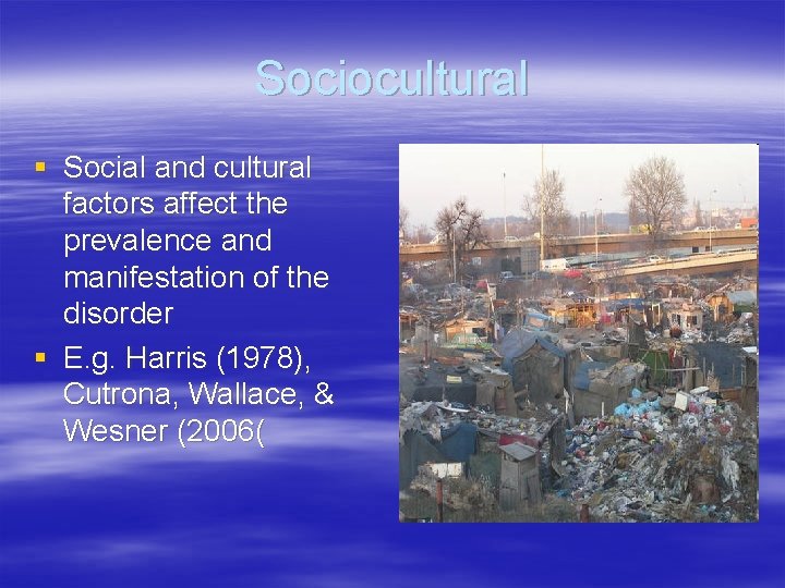 Sociocultural § Social and cultural factors affect the prevalence and manifestation of the disorder