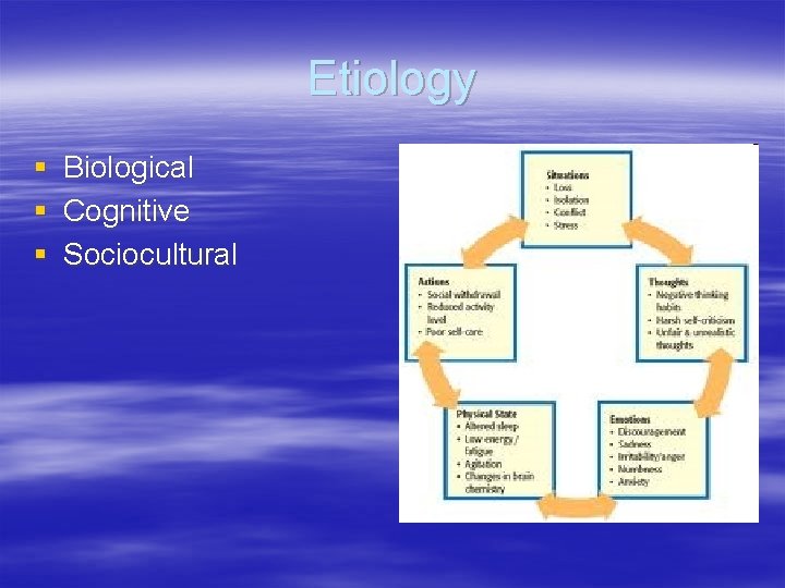 Etiology § § § Biological Cognitive Sociocultural 