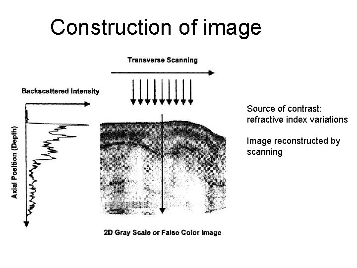 Construction of image Source of contrast: refractive index variations Image reconstructed by scanning 