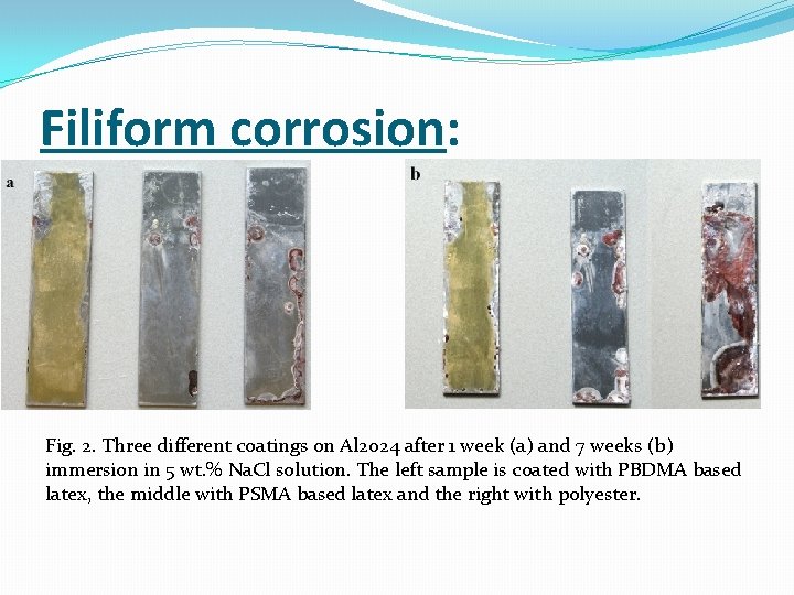 Filiform corrosion: Fig. 2. Three different coatings on Al 2024 after 1 week (a)