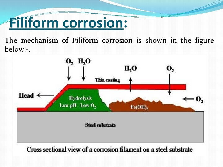 Filiform corrosion: The mechanism of Filiform corrosion is shown in the figure below: -.