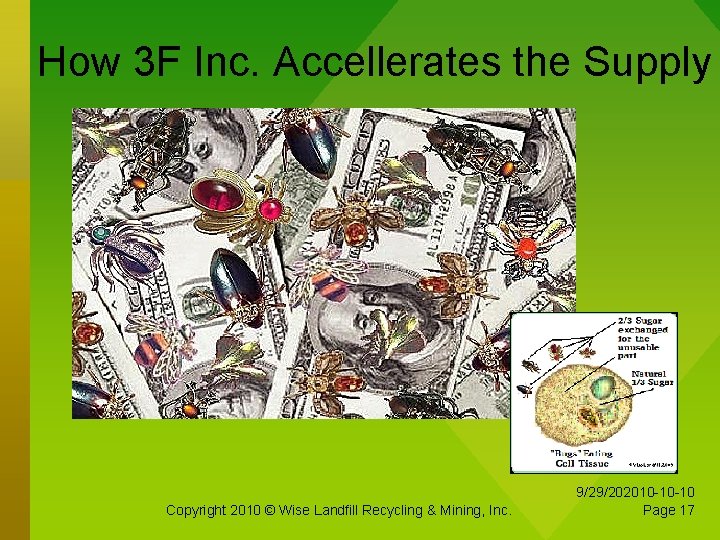 How 3 F Inc. Accellerates the Supply Copyright 2010 © Wise Landfill Recycling &