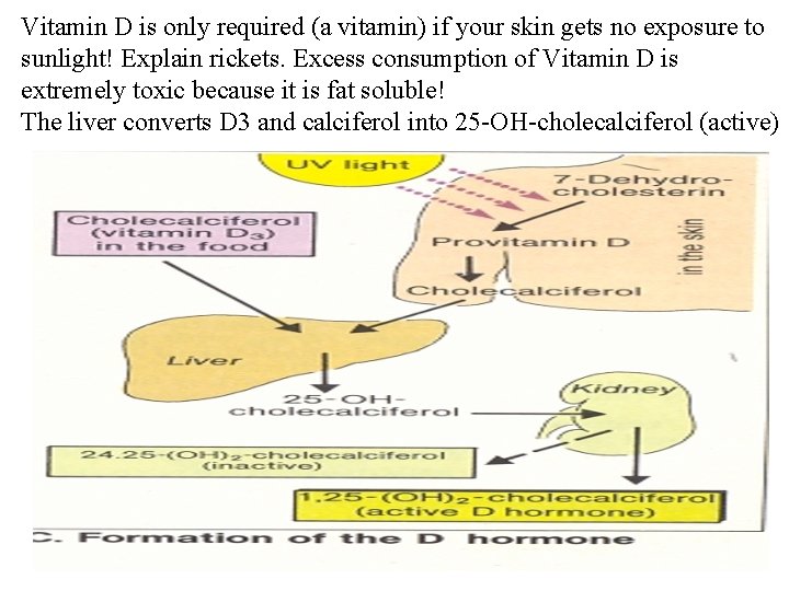 Vitamin D is only required (a vitamin) if your skin gets no exposure to