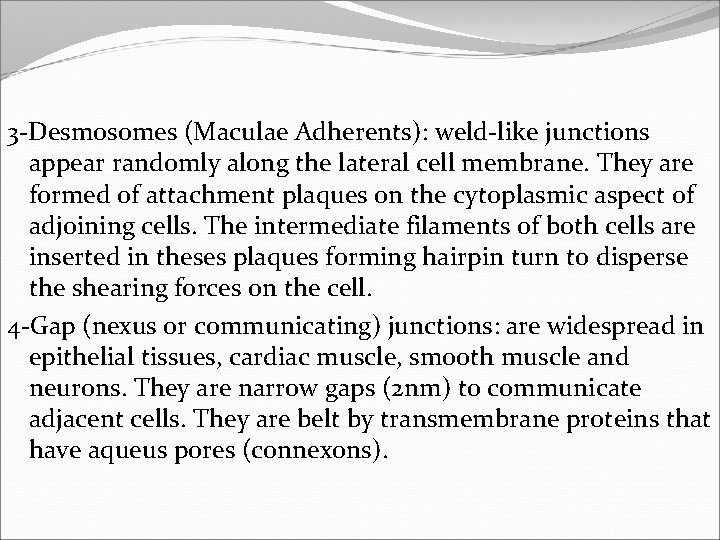3 -Desmosomes (Maculae Adherents): weld-like junctions appear randomly along the lateral cell membrane. They