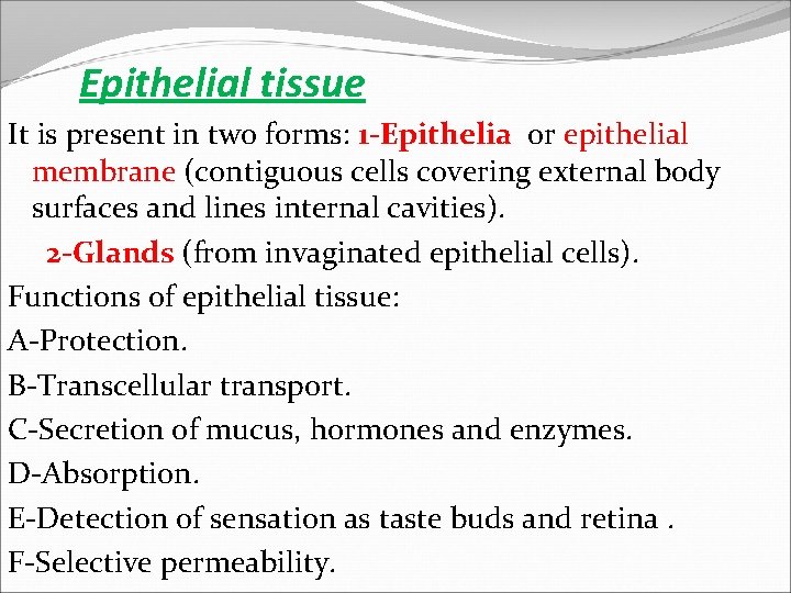 Epithelial tissue It is present in two forms: 1 -Epithelia or epithelial membrane (contiguous
