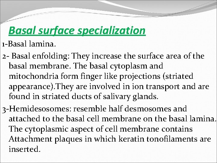 Basal surface specialization 1 -Basal lamina. 2 - Basal enfolding: They increase the surface