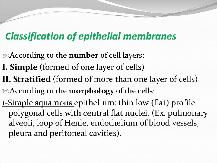Classification of epithelial membranes According to the number of cell layers: I. Simple (formed