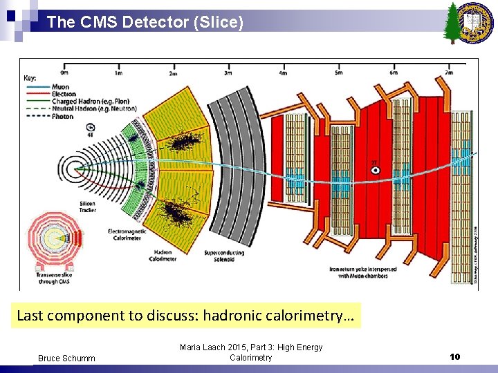 The CMS Detector (Slice) Last component to discuss: hadronic calorimetry… Bruce Schumm Maria Laach