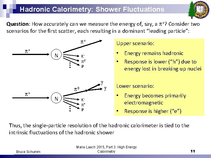 Hadronic Calorimetry: Shower Fluctuations Question: How accurately can we measure the energy of, say,