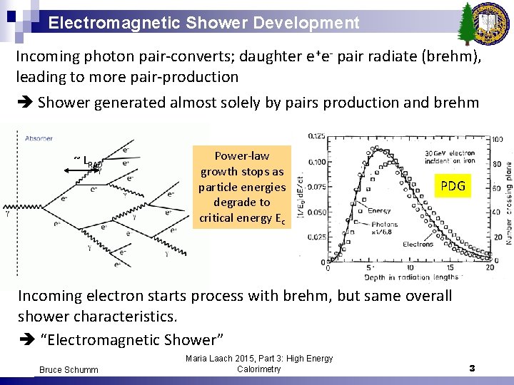 Electromagnetic Shower Development Incoming photon pair-converts; daughter e+e- pair radiate (brehm), leading to more