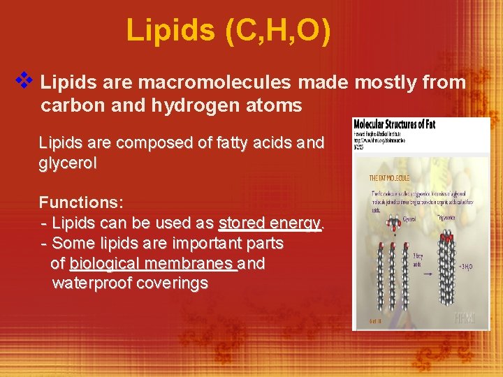 Lipids (C, H, O) v Lipids are macromolecules made mostly from carbon and hydrogen